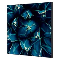 Showdown Wanddekoration Set 40x40cm Kaktus bl