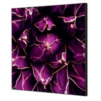 Showdown Wanddekoration Set 40x40cm Kaktus vi