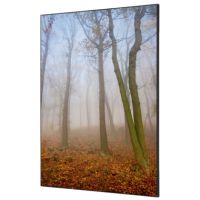 Showdown Wanddekoration Set A1 Herbstnebel