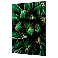 Showdown Wanddekoration Set A1 Kaktus gn