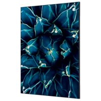 Showdown Wanddekoration Set A1 Kaktus bl