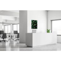 Showdown Wanddekoration Set A1 Kaktus gn