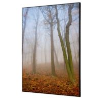 Showdown Wanddekoration Set A2 Herbstnebel