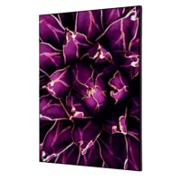 Showdown Wanddekoration Set A2 Kaktus vi