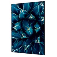 Showdown Wanddekoration Set A2 Kaktus bl