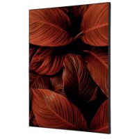 Showdown Wanddekoration Set A2 Blätter rt