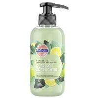 Sagrotan Flüssigseife Frisch/Fruchtig 300ml