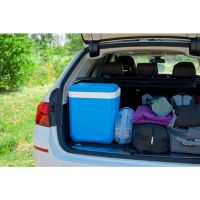 CAMPINGAZ Kühlbox Icetime Plus 2000024963 30l