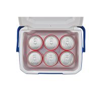 Coleman Kühlbox 5QT Performance Personal 2000036076
