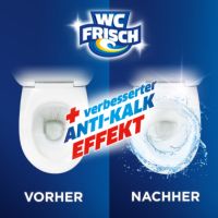 WC frisch WC Reiniger Kraft Aktiv W7CLO Ozeanfrische 750ml