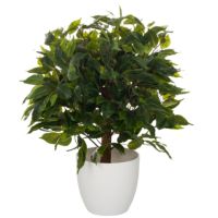 hjh OFFICE Kunstpflanze Ficus 871061