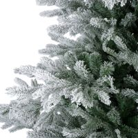 EVERLANDS  Weihnachtsbaum Grandis Tanne 210cm gn/ws