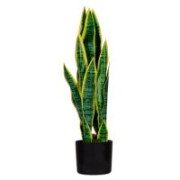 Paperflow Kunstpflanze PASAN65 Sansevieria 65cm