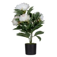 Paperflow Kunstpflanze PAPIVB55 Pfingstrose ro 55cm