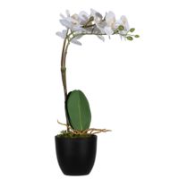Paperflow Kunstpflanze PAORCH40 Orchidee ws 40cm