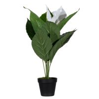 Paperflow Kunstpflanze PALUNE55 Einblatt 55cm