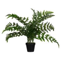Paperflow Kunstpflanze PAFOUG55 Farn 55cm