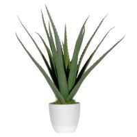 Paperflow Kunstpflanze PAALOE45 Aloe Vera 45cm