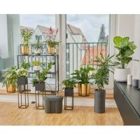 GARDENA Urlaubsbewässerung 13366-20