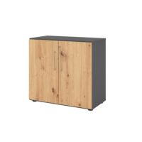 Hammerbacher Regal 2OH Türen gp/Asteiche