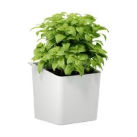 tesa Kräutertopf 70044-00000