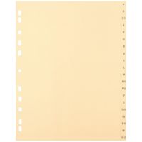 without brand 1116 Register A4 voll 20tlg A-Z ch