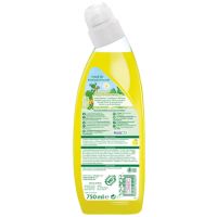 Frosch WC-Reiniger Zitrone 09450364 750ml