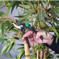 BRÜDER MANNESMANN M63101 Gartenschere Bypass