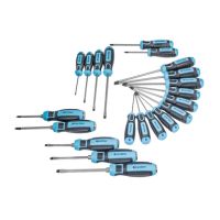 QUANTOOL Q25021 Schraubendreher Set 21 tlg.