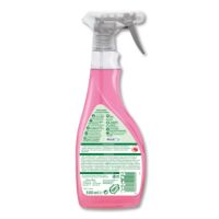 Frosch Kalkreiniger Antikalk Himbeeressig 116151 500ml