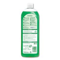 Frosch Glasreiniger mit Spiritus 15959 750ml