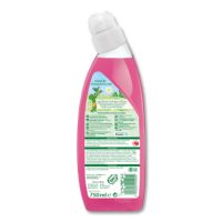 Frosch WC-Reiniger Himbeer-Essig 15499 750ml