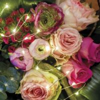 LUMINEO 481765 Lumineo Lichterkette Micro LED 295cm