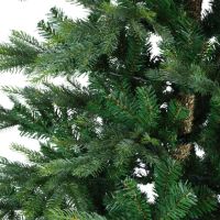 EVERLANDS Weihnachtsbaum Grandis Tanne 681454