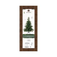 EVERLANDS Weihnachtsbaum Grandis Tanne 681454