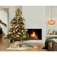 EVERLANDS Weihnachtsbaum Grandis Tanne 681454