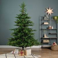EVERLANDS Weihnachtsbaum Grandis Tanne 681454