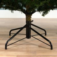 EVERLANDS Weihnachtsbaum Grandis Tanne 681454