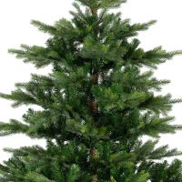 EVERLANDS Weihnachtsbaum Grandis Tanne 681454
