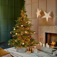 EVERLANDS Weihnachtsbaum Grandis Tanne 681452 210cm