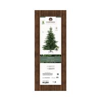 EVERLANDS Weihnachtsbaum Grandis Tanne 681452 210cm