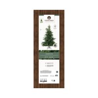 EVERLANDS Weihnachtsbaum Grandis Tanne 681451 180cm