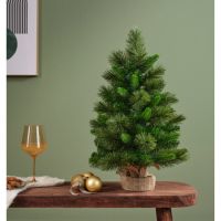EVERLANDS Edmonton Spruce 681203 indoor
