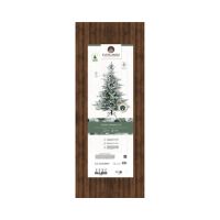EVERLANDS  Weihnachtsbaum Grandis Tanne 210cm gn/ws