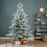 EVERLANDS  Weihnachtsbaum Grandis Tanne 210cm gn/ws