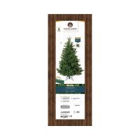 EVERLANDS 684307 Everlands Tanne Nordmann 210cm gn