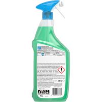 Meister Proper 8700216663779 Allzweckreiniger Antibakteriell 800ml