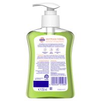 Sagrotan Flüssigseife Grüner Apfel & Jasmin 3226532 250ml