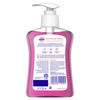 Sagrotan Flüssigseife Brombeere/Waldfrüchte 3226561 250ml