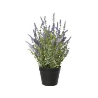 DECORIS Lavendelpflanze 30x48cm 899703